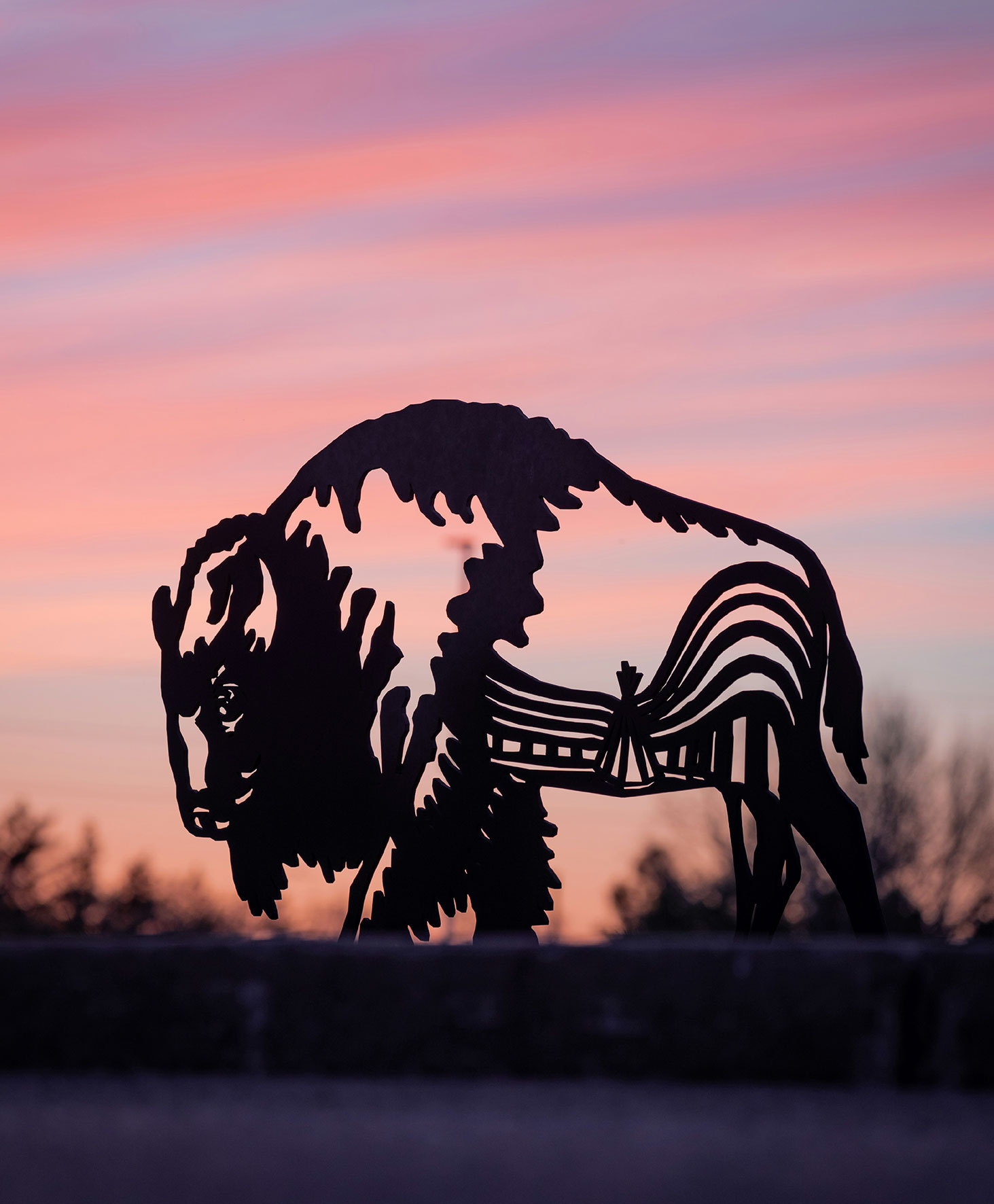 bison silhouette